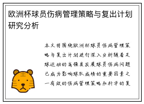 欧洲杯球员伤病管理策略与复出计划研究分析