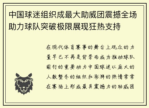 中国球迷组织成最大助威团震撼全场助力球队突破极限展现狂热支持 中国球迷组织成最大助威团震撼全场助力球队突破极限展现狂热支持